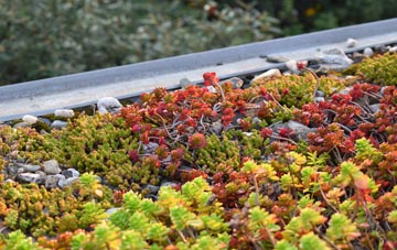 the cost of Clints green roof installation