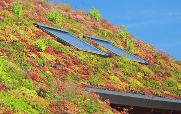 Clints living roof systems
