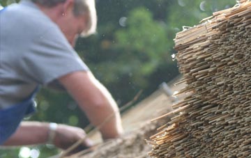 professional Clints thatchers