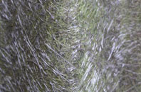 Clints fibreglass roof work